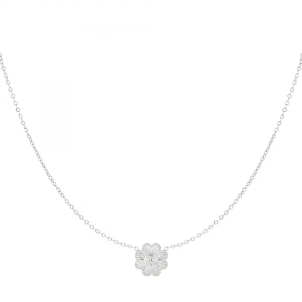 Daisy ketting