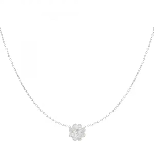 Daisy ketting